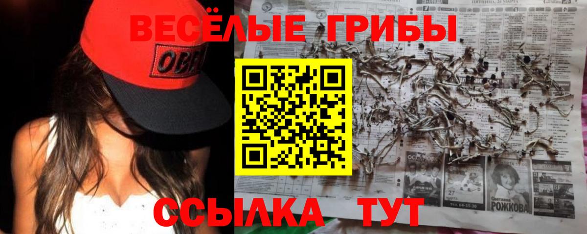 Галлюциногенные грибы Psilocybe  Вход с VPN  Добрянка 